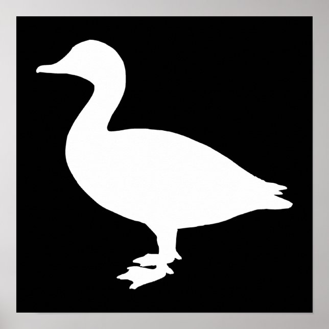 Sheldrake Anka Poster (Framsidan)