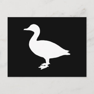 Sheldrake Anka Vykort