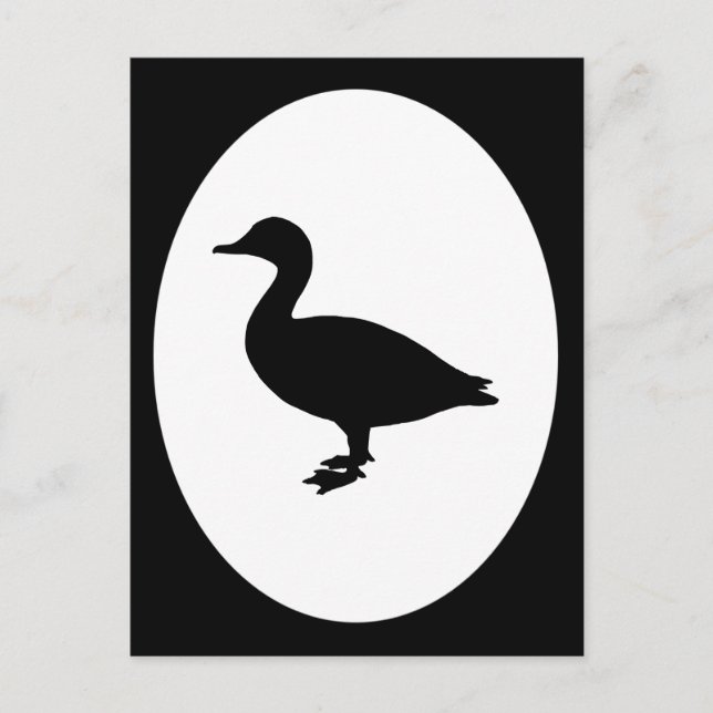 Sheldrake Anka Vykort (Framsida)