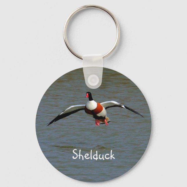 Shelduck Nyckelring (Framsida)