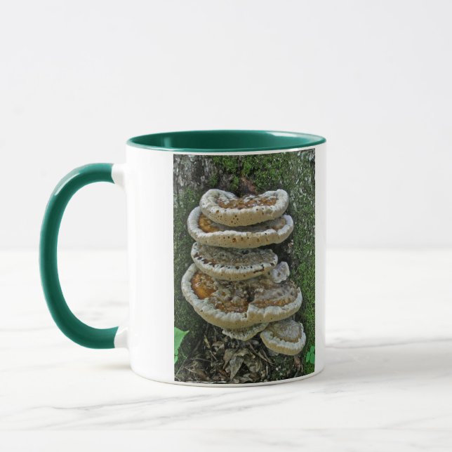 Shelf Fungi på stump Mugg (Vänster)