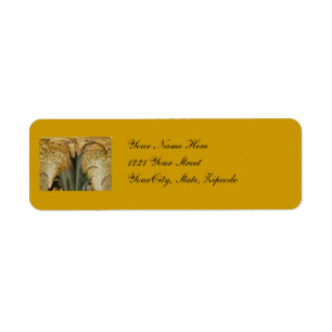 Shelf Fungus Abstrakt Address Label Returadress Etikett