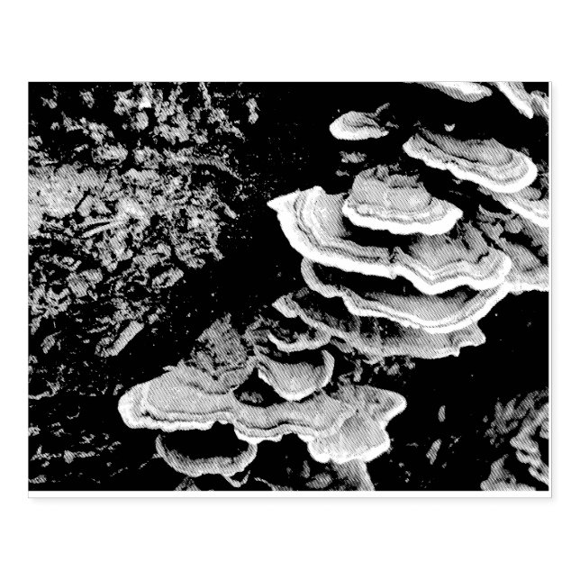 Shelf Fungus Rubber Frimärke Stämpel (Tryck)