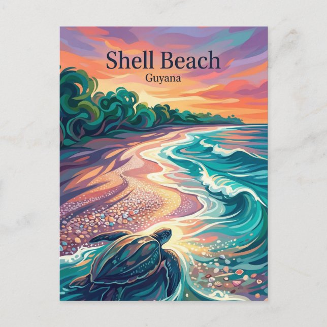 Shell Beach Guyana Vykort (Framsida)
