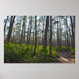 Shell Mound Park Trail, Dauphin Island, Al Poster