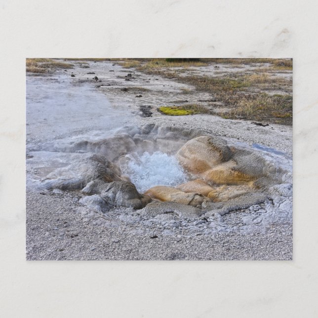 Shell Spring i Yellowstone National Park, Wyoming Vykort (Framsida)