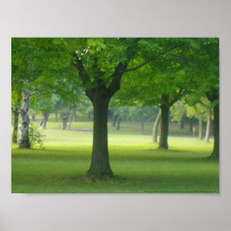 Shellis-Kanvastrycket, oinramat "Magic Forest" Poster