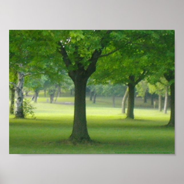 Shellis-Kanvastrycket, oinramat "Magic Forest" Poster (Framsidan)