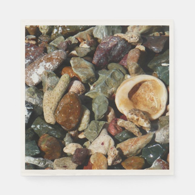 Shells, Rocks and Coral Nature Photography Pappersservett (Framsidan)