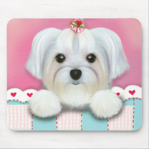 SHELLY MORKIE MUSMATTA