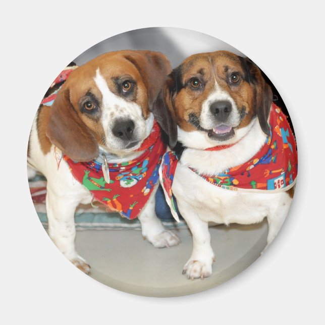 Shelter Beagles Photo Magnet (Framsidan)