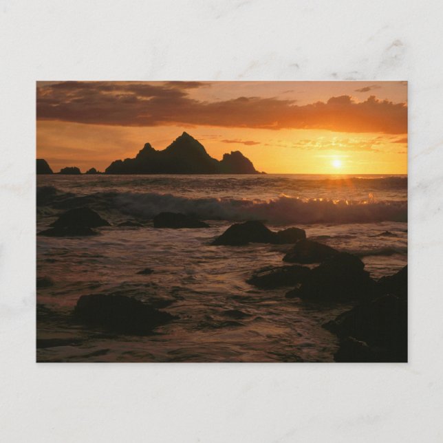 Shelter Cove Vykort (Framsida)