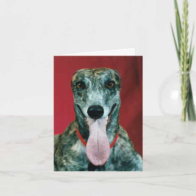 Shelter From The Storm Greyhound Dog Rescue Card Tack Kort (Framsida)