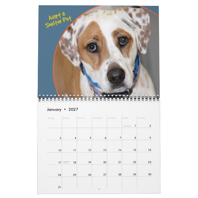 Shelter Hundar Calendar Kalender (Jan 2027)