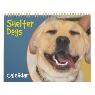 Shelter Hundar Calendar Kalender