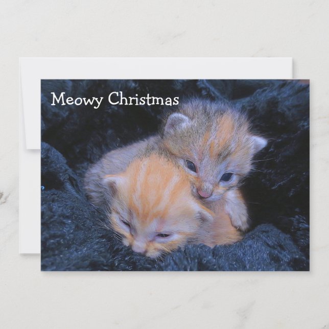 Shelter Kittens helgdag Tack Kort (Framsida)