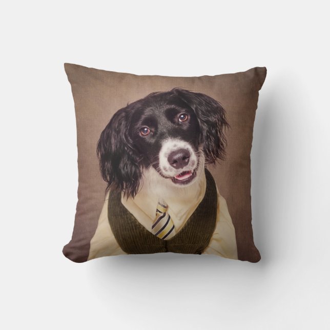 Shelter Pets Project - Cannonball Kudde (Framsida)