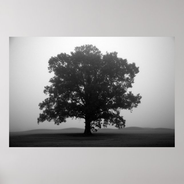 Shelter Poster (Framsidan)