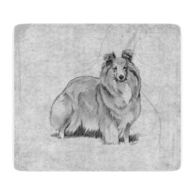 Sheltie (Framsidan)