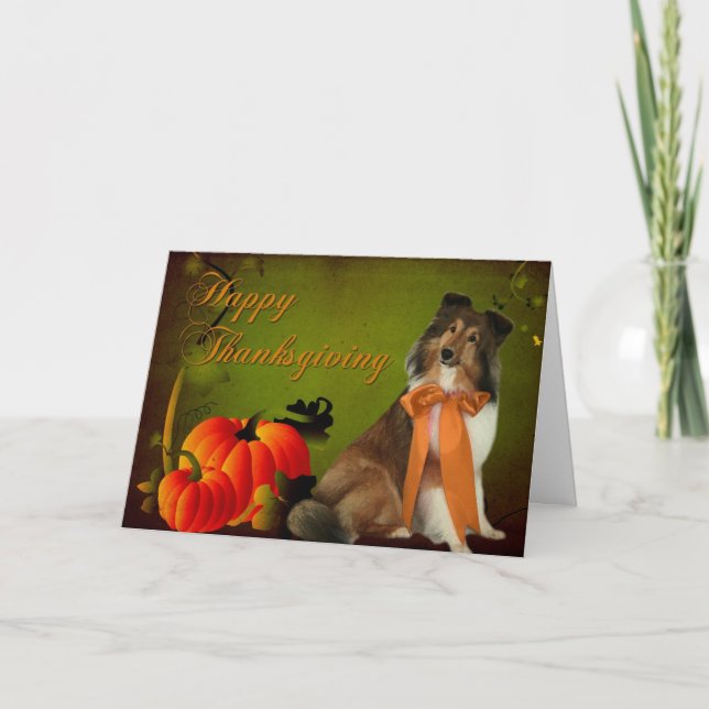 Sheltie #2 Thanksgiving Card Helgkort (Framsida)