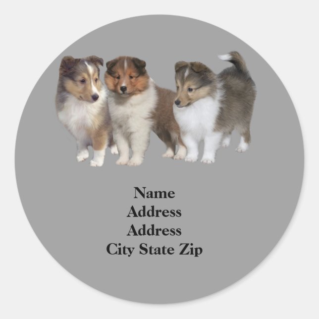 Sheltie Address Label Runt Klistermärke (Framsida)