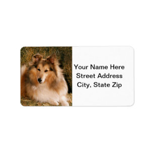 Sheltie Adressetikett