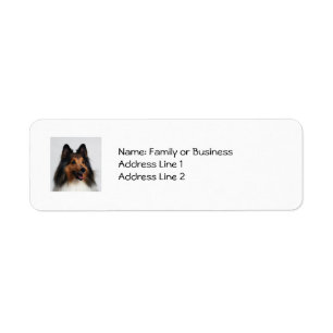 Sheltie adressetiketter returadress etikett
