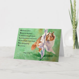 Sheltie Agilitydikt Kort