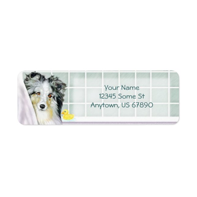 Sheltie Bath Blue Merle Labels Returadress Etikett (Framsidan)