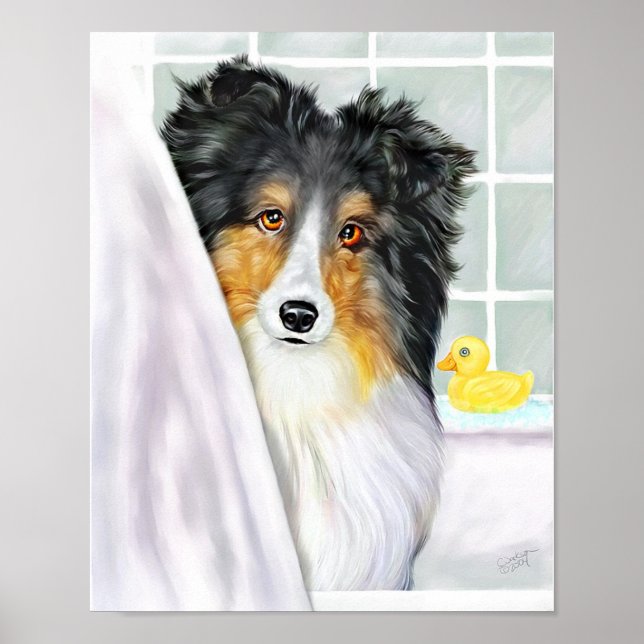 Sheltie Bath Tri Färg Poster (Framsidan)