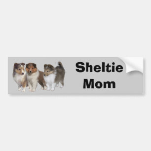 Sheltie bildekal