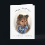 Sheltie Birthday Card for Grandson Kort<br><div class="desc">Det här vackra Shetland Sheepdog-hundens födelsedagskort är nästan lika sött som ditt barnbarn!</div>