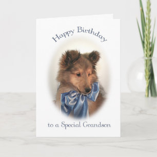 Sheltie Birthday Card for Grandson Kort
