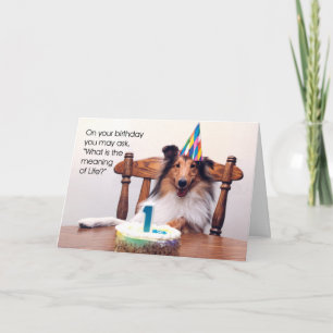 Sheltie Birthday Card Kort