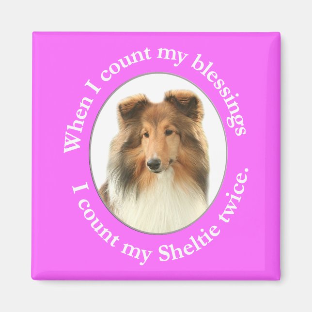Sheltie Blessing Magnet (Framsidan)