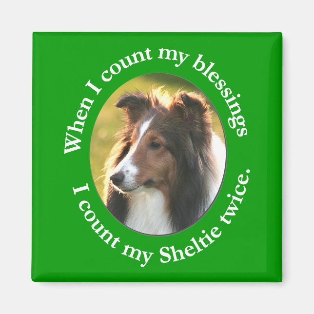 Sheltie Blessing Magnet (Framsidan)