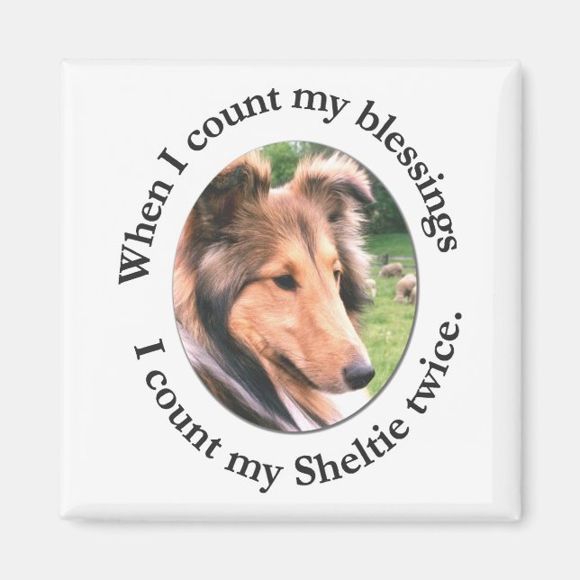 Sheltie Blessing Magnet (Framsidan)