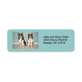 Sheltie Champs! Returadress Etikett