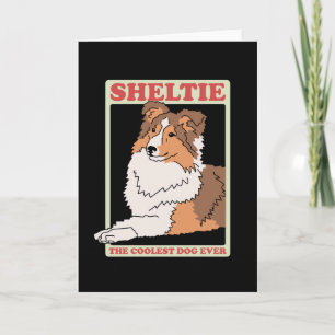 Sheltie Coolest Hund   Shetland Sheepdog Kort
