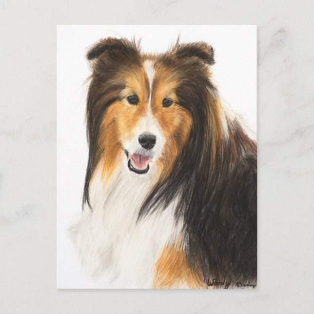 Sheltie eller Shetland Sheepdog Painting Vykort (Framsida)