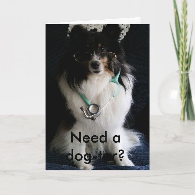 Sheltie får det väl kortet kort (Framsida)