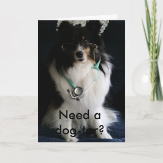 Sheltie får det väl kortet kort