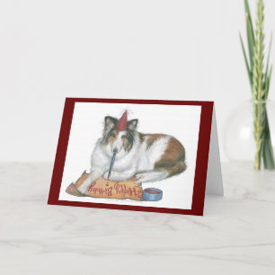 Sheltie födelsedagkort kort