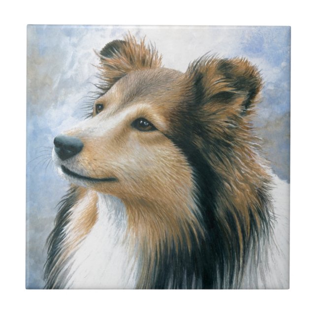 Sheltie för hund 122 Collie Kakelplatta (Framsidan)