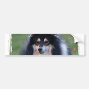 Sheltie fotobildekal bildekal