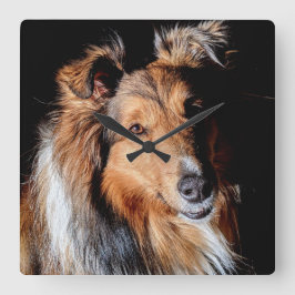 Sheltie Fyrkantig Klocka