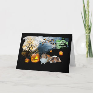 Sheltie Halloween hälsningkort Kort