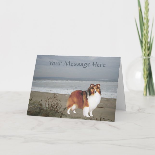 Sheltie hälsningkort kort (Framsida)