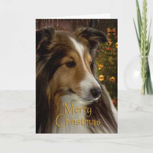 Sheltie Helgdag Card Helgkort (Framsida)