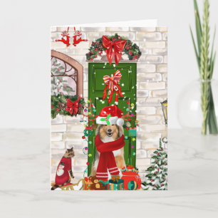 Sheltie Hund Jul Kort